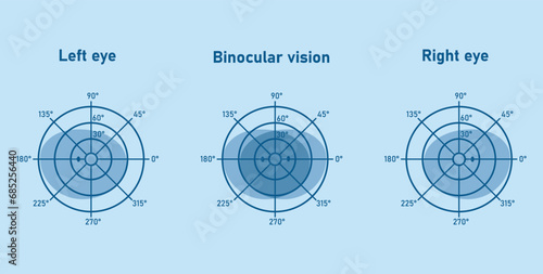 The visual field of the left and right eye. Binocular fusion and depth perception. Scientific resources for teachers and students.