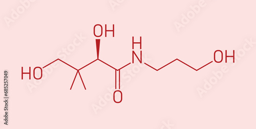 Skeletal formula of Panthenol. Chemical structure of Panthenol (C9H19NO4). Chemical resources for teachers and students. Vector illustration isolated on white background.