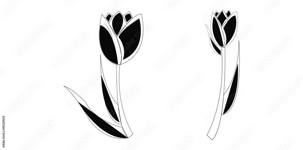 feather isolated on white background feather isolated on white background