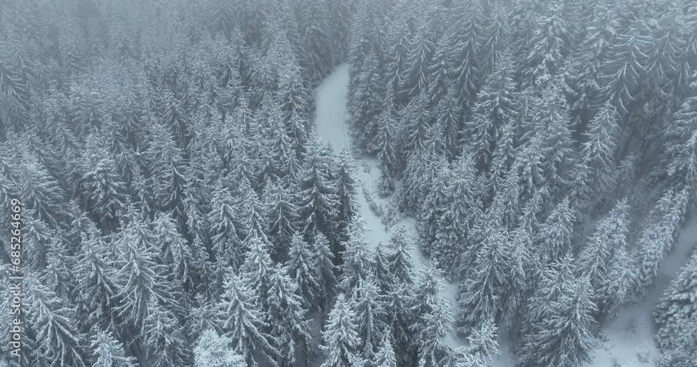 Misty Sunset on the Snowy Mountains aerial drone point of view Forests cross country paths in pine trees winter with fresh country road. Misty Sunset on the Snowy Mountains aerial drone point of view Forests cross country paths in pine trees winter with fresh country road.