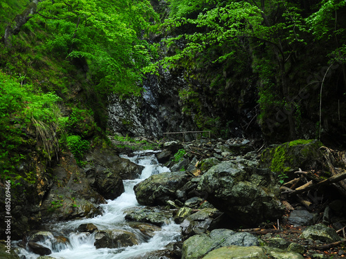 A freshwater mountain river flowing along eroded cliffs in a canyon. The wet, sharp boulders are covered with moss. Carpathia, Romania.