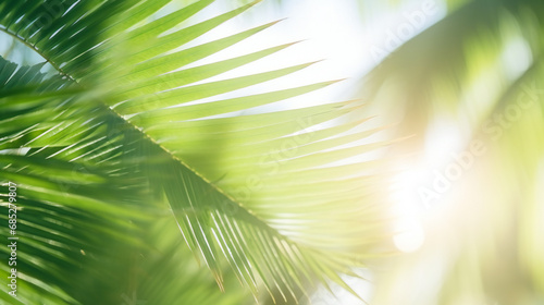 Blur beautiful nature green palm leaf on tropical beach with bokeh sun light wave abstract background