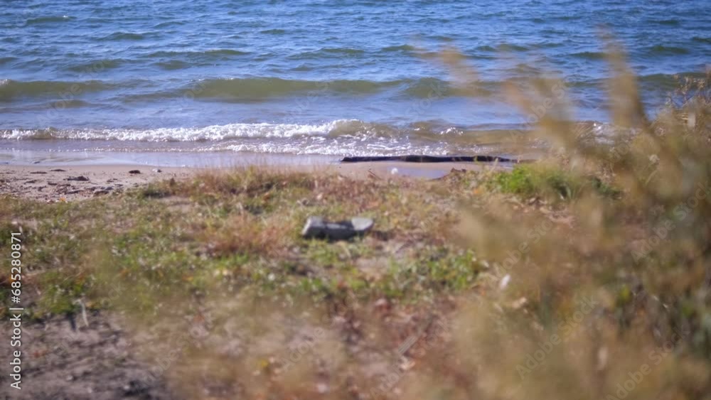 View of the seashore. A slight wind creates waves.4K View of the seashore. A slight wind creates waves.4K