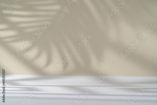 Shadow of tropical palm leaves and geometric shapes on white wall. Minimal abstract light white background for product presentation. © petrrgoskov