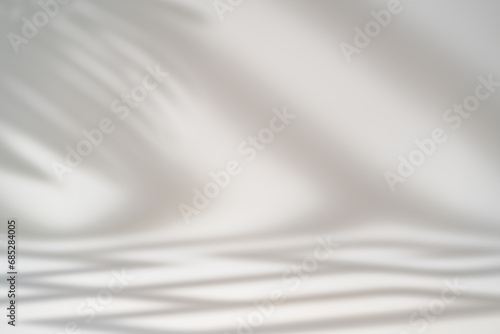 Shadow of tropical palm leaves and geometric shapes on white wall. Minimal abstract light white background for product presentation.