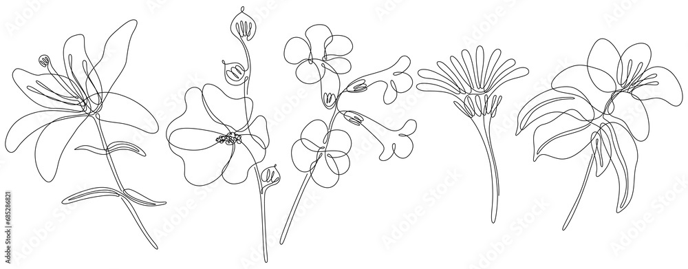 Fototapeta premium Flowers isolated on white illustration collection. Wildflowers for background. Abstract botanical art. Simple minimalist art set. Continuous line drawing set.