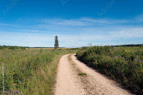 View of a dirt road