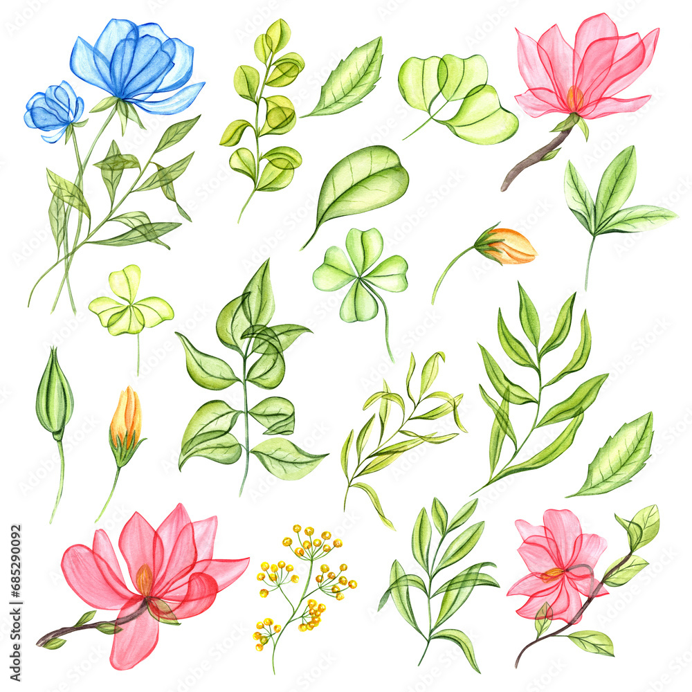 Set of transparent plant and flowers. Blue, pink, yellow transparent flowers, green leaves. Clover, herb, tea leaf and buds. Spring greenery. Simple elements. Watercolor illustration