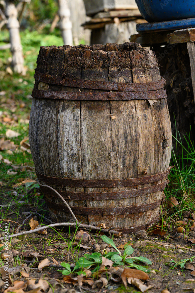 Small barrel, cask, small and old wooden barrel with rusty iron rings on the ground in a winter garden, on the soil and amidst the grass. Old, abandoned, decadent, obsolete, romantic, nostalgic, decor Small barrel, cask, small and old wooden barrel with rusty iron rings on the ground in a winter garden, on the soil and amidst the grass. Old, abandoned, decadent, obsolete, romantic, nostalgic, decor