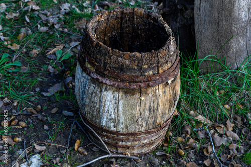 Small barrel, cask, small and old wooden barrel with rusty iron rings on the ground in a winter garden, on the soil and amidst the grass. Old, abandoned, decadent, obsolete, romantic, nostalgic, decor