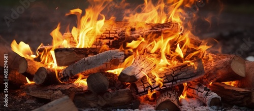 Stock photo of flaming logs drying in forest bonfire copy space image