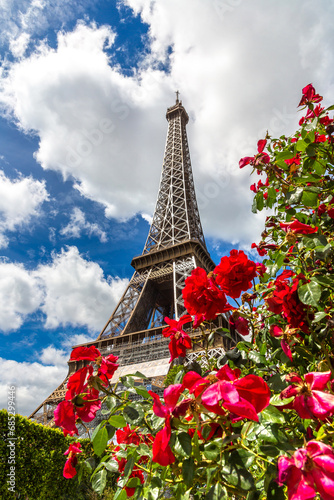 The Eiffel Tower and red roses in Paris, France in a sunny summer day