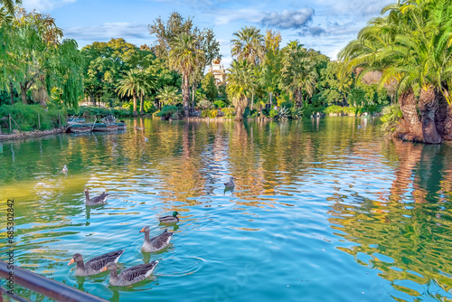 Flock of wild geese swims on the mirror surface of a lake in the Ciutadella Park in Barcelona, Spain. Pond with palm island among a city garden with wild waterfowl on a sunny autumn day photo