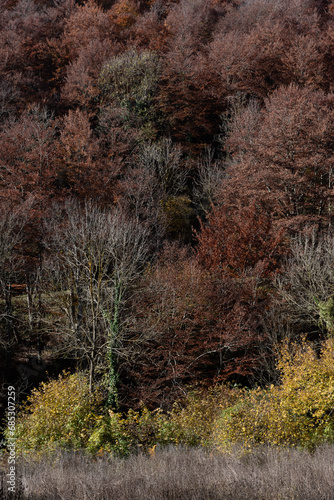 Autumn landscapes in La Garrotxa