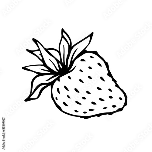 Sketch,doodles of summer strawberries.Vector graphics.