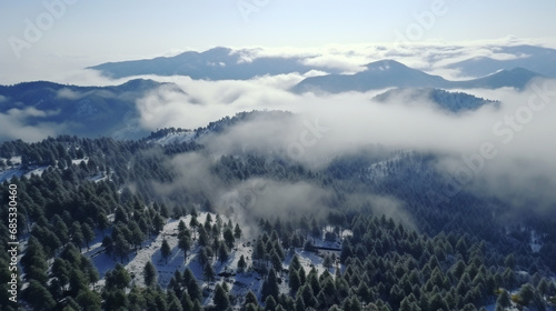 Natural winter landscape aerial drone top view.. Winter season weather