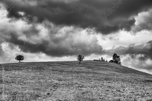 Black & white summer countryside landscape inside Basilicata 