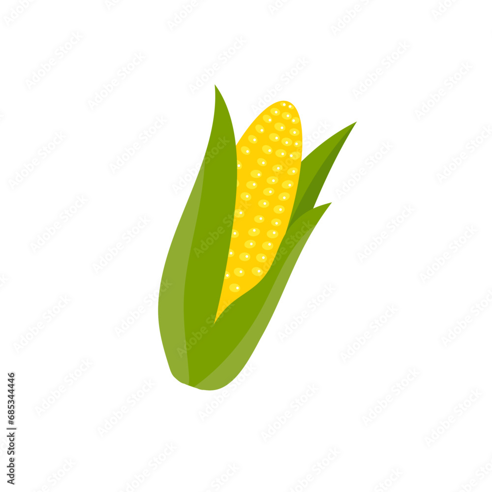 Corn on the cob, isolated on white background, maize, vector illustration, flat style Corn on the cob, isolated on white background, maize, vector illustration, flat style