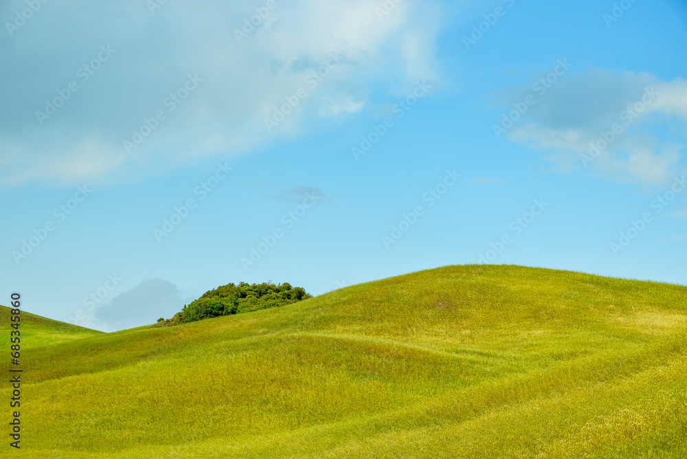 Naklejka premium summer countryside landscape, Basilicata, Italy