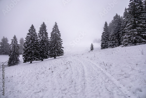 Erste Winterwanderung durch den verschneiten Thüringer Wald bei Tambach-Dietharz - Thüringen - Deutschland © Oliver Hlavaty