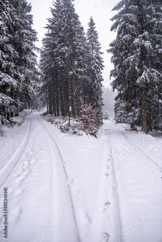 Erste Winterwanderung durch den verschneiten Thüringer Wald bei Tambach-Dietharz - Thüringen - Deutschland © Oliver Hlavaty