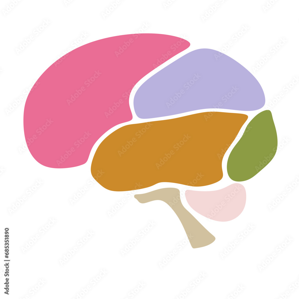 Icon of a nice design of the color parts of a human brain Icon of a nice design of the color parts of a human brain