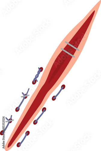 Human skin suture icon cartoon vector. Doctor surgeon. Medica health medical