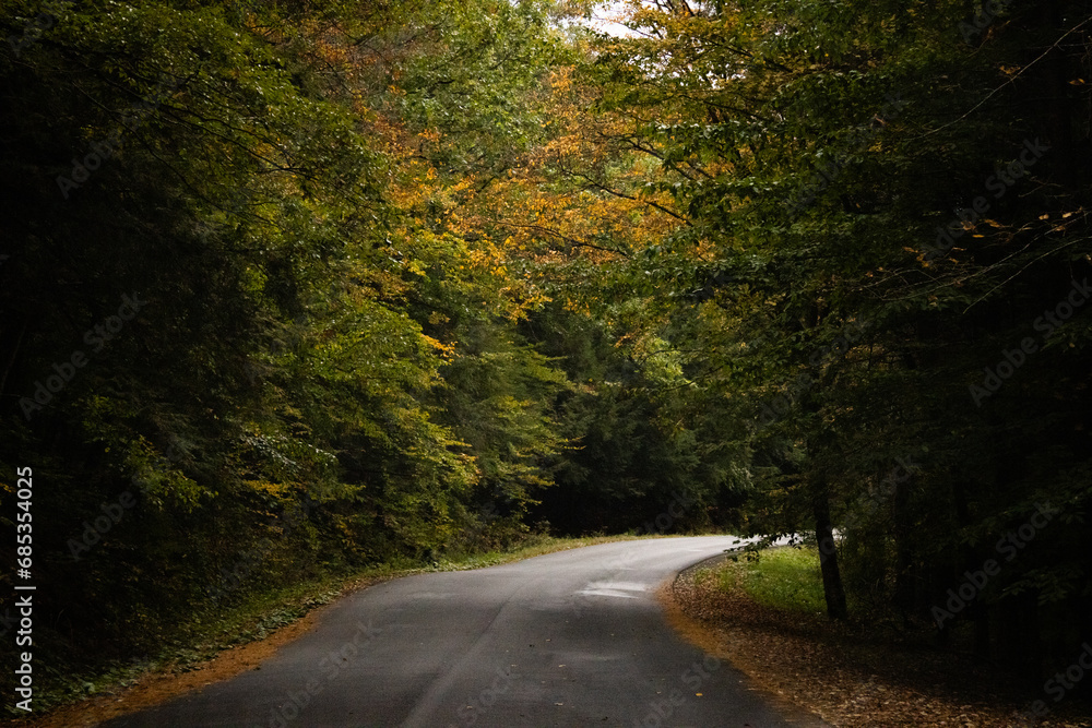 Obraz premium Road in Upstate NY