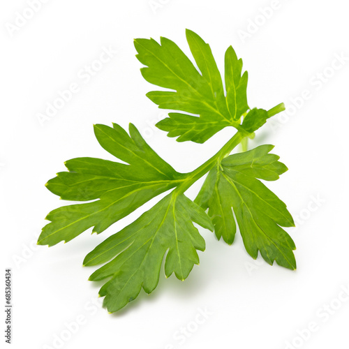 Parsley isolated on white background close up