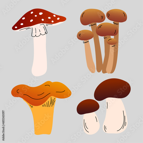 Wallpaper Mural Illustration of mushrooms, set of mushrooms, hand-drawn illustration Torontodigital.ca