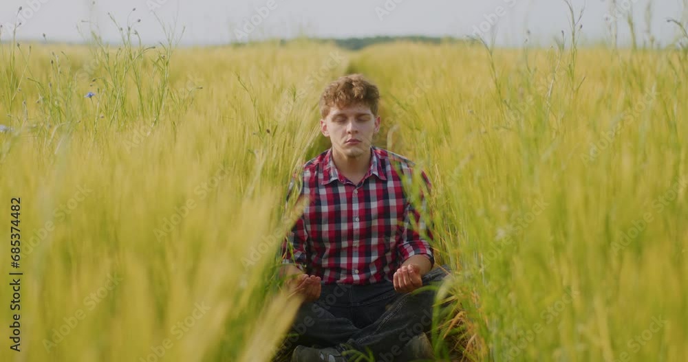 Farmer Examining Crops Wheat Field Agriculture Harvesting Farmer Examining Crops Wheat Field Agriculture Harvesting