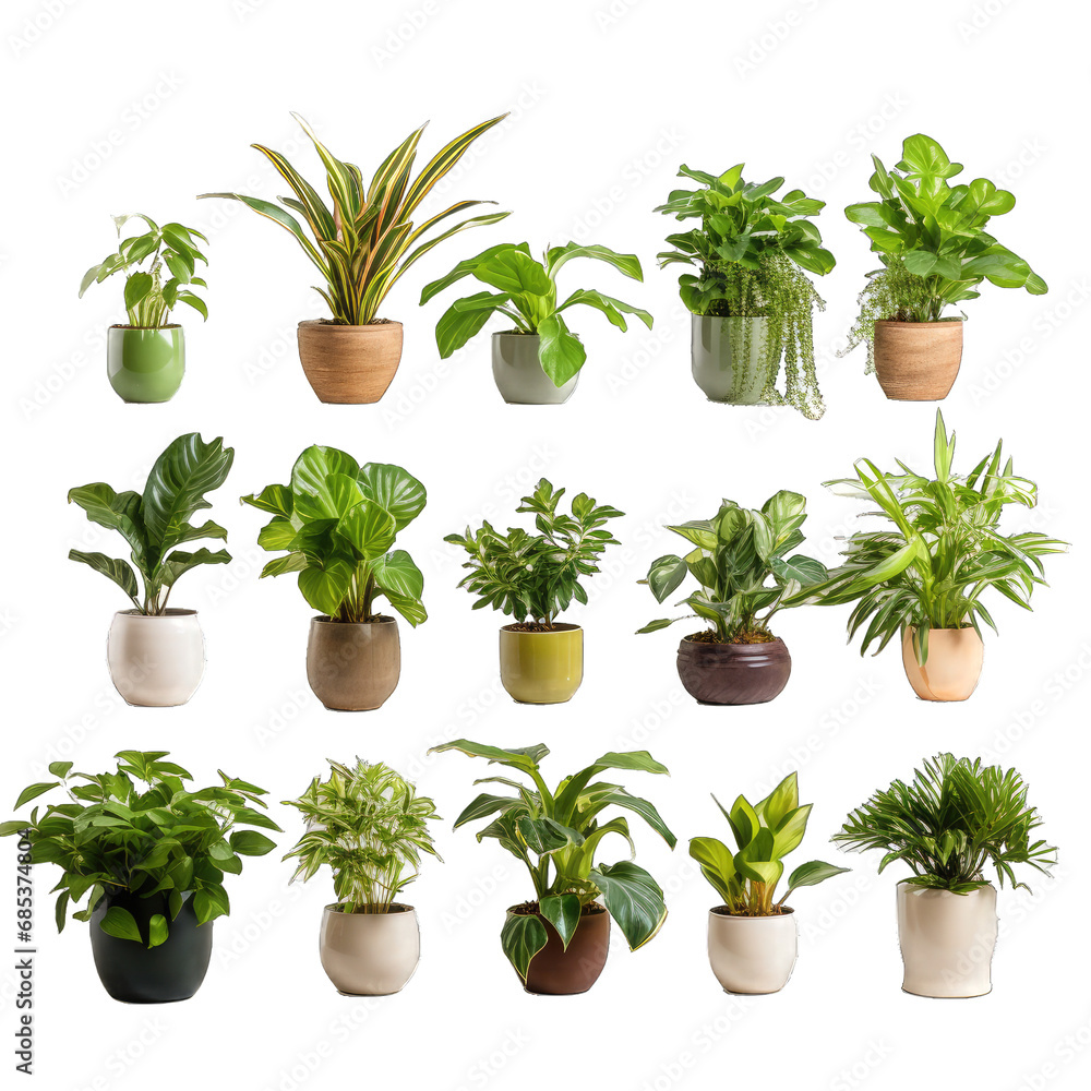 Potted Plants Collection. Collection of Beautiful Plants in Ceramic Pots Isolated for a Detailed View of Indoor Greenery.. Cutout PNG. Potted Plants Collection. Collection of Beautiful Plants in Ceramic Pots Isolated for a Detailed View of Indoor Greenery.. Cutout PNG.