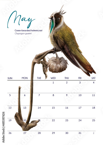 Calendario 2024, may hummingbird photo