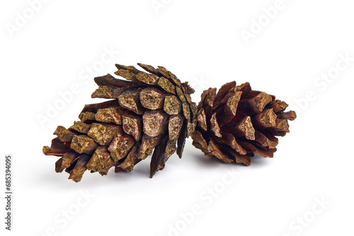 Pine cone, close-up, isolated on white background.