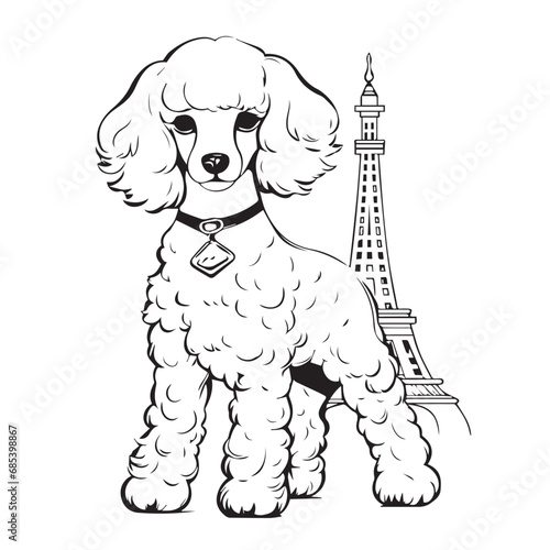 Chic Parisianin cartoon  doodle style. Isolated 2d vector illustration in logo  icon style  Eps 10  black and white. AI Generative