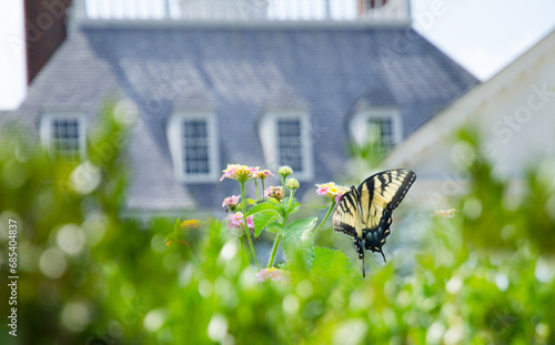 old house in the garden williamsburg colonial 