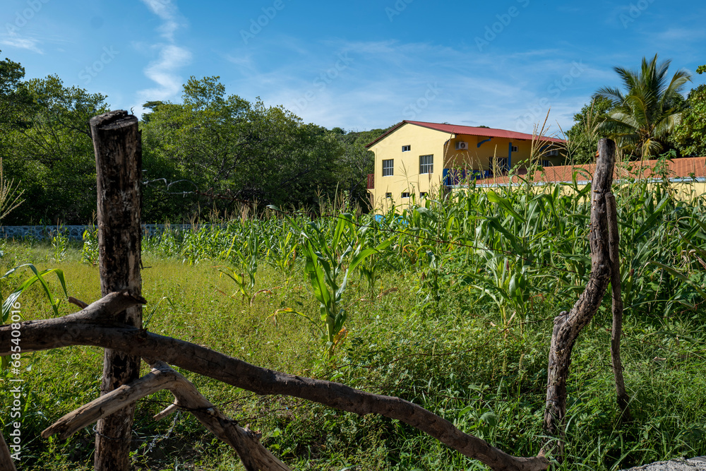 Wooden Fence in Front of a Corn Field with Barn and House by the Woods in La Union in Salvador