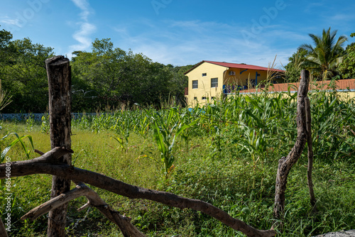 Wooden Fence in Front of a Corn Field with Barn and House by the Woods in La Union in Salvador