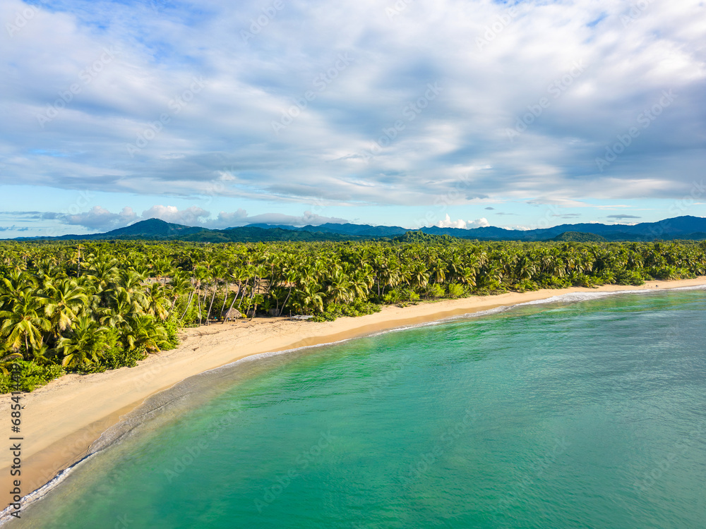 Aerial panoramic view of wild beach with green palm trees on the shore. Beautiful landscape with blue sky and turquoise sea water. Best places for summer vacations