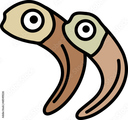 멸치