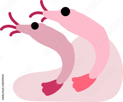 멸치