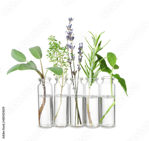 Bottles with essential oils and plants isolated on white