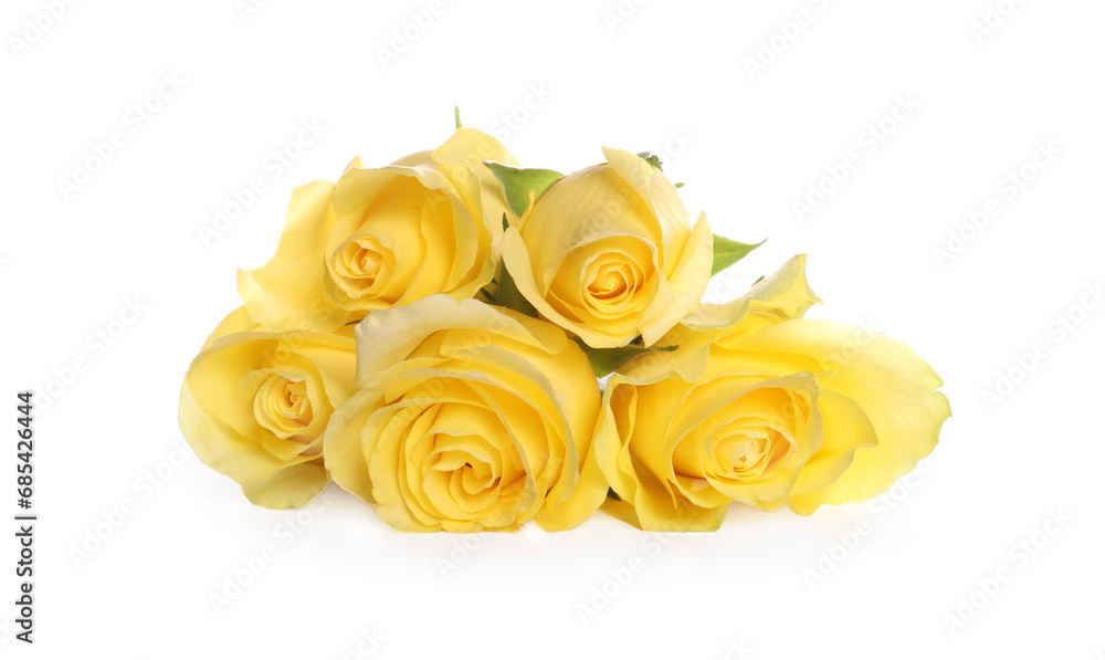 Beautiful fresh yellow roses isolated on white Beautiful fresh yellow roses isolated on white