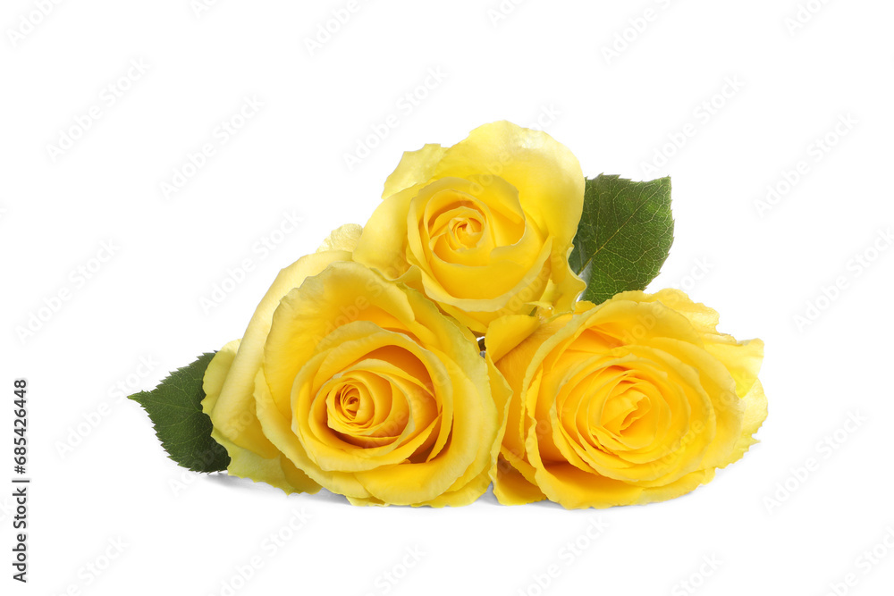 Beautiful fresh yellow roses with leaves isolated on white Beautiful fresh yellow roses with leaves isolated on white
