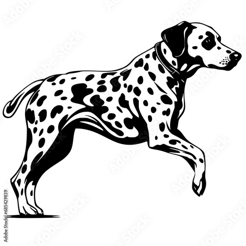 Dalmatian svg