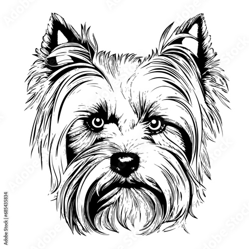 Yorkshire Terriers svg