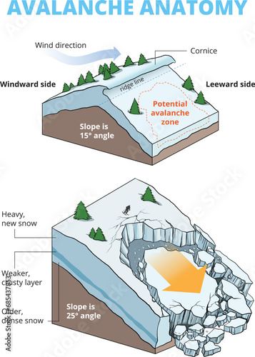 illustration of snow avalanche anatomy infographic