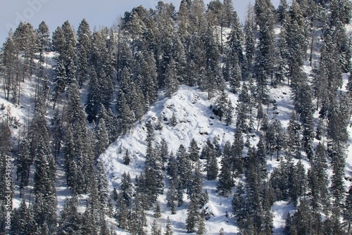 Rustic mountains in Colorado