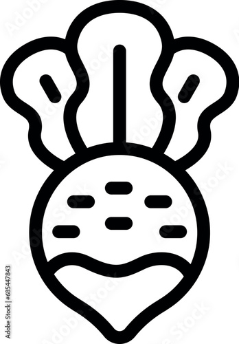 Rich nutrient vitamin radish icon outline vector. Detox vegetarian salad food. Edible vegetable root daikon