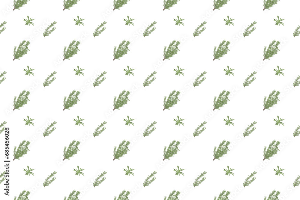 rosemary herb as seamless pattern background